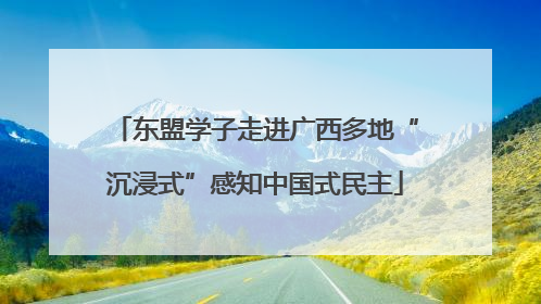 东盟学子走进广西多地“沉浸式”感知中国式民主