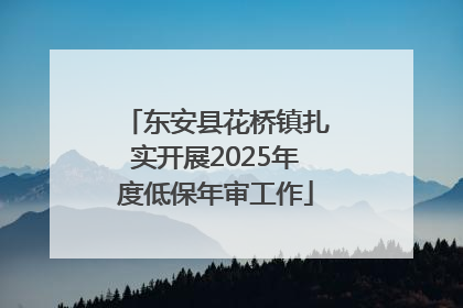 东安县花桥镇扎实开展2025年度低保年审工作