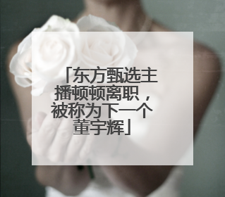 东方甄选主播顿顿离职，被称为下一个董宇辉