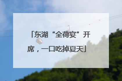 东湖“全荷宴”开席，一口吃掉夏天