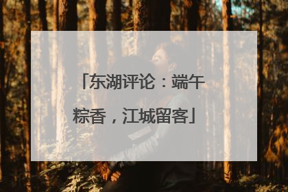 东湖评论：端午粽香，江城留客