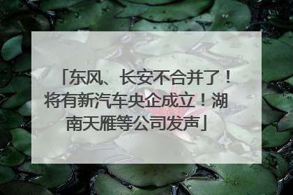 东风、长安不合并了！将有新汽车央企成立！湖南天雁等公司发声
