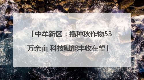 中牟新区：播种秋作物53万余亩 科技赋能丰收在望