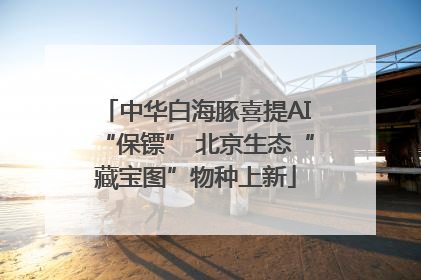 中华白海豚喜提AI“保镖” 北京生态“藏宝图”物种上新