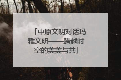 中原文明对话玛雅文明——跨越时空的美美与共