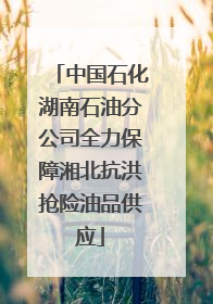 中国石化湖南石油分公司全力保障湘北抗洪抢险油品供应
