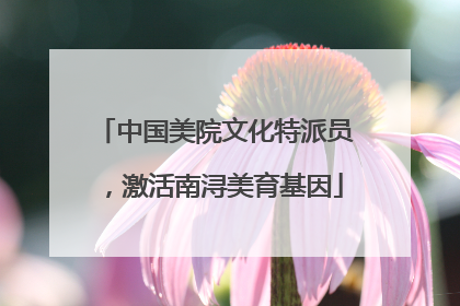 中国美院文化特派员，激活南浔美育基因