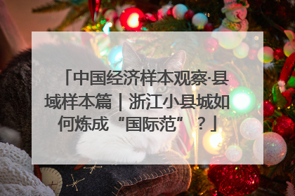 中国经济样本观察·县域样本篇｜浙江小县城如何炼成“国际范”？