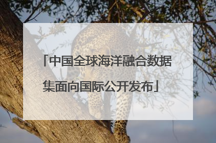 中国全球海洋融合数据集面向国际公开发布