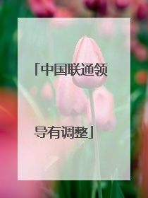 中国联通领导有调整