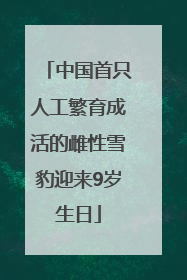 中国首只人工繁育成活的雌性雪豹迎来9岁生日