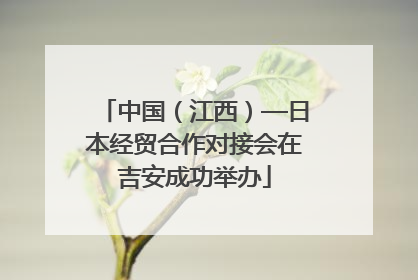 中国（江西）—日本经贸合作对接会在吉安成功举办