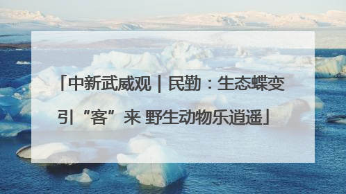 中新武威观｜民勤：生态蝶变引“客”来 野生动物乐逍遥