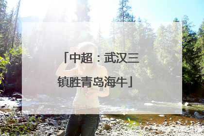 中超：武汉三镇胜青岛海牛