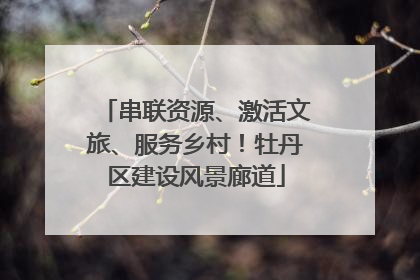 串联资源、激活文旅、服务乡村！牡丹区建设风景廊道