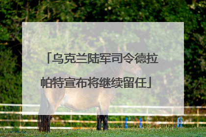 乌克兰陆军司令德拉帕特宣布将继续留任
