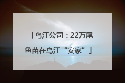 乌江公司：22万尾鱼苗在乌江“安家”