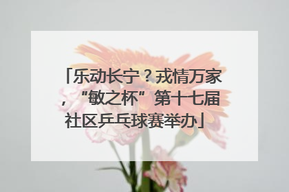 乐动长宁？戎情万家，“敏之杯”第十七届社区乒乓球赛举办
