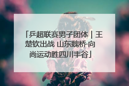 乒超联赛男子团体｜王楚钦出战 山东魏桥·向尚运动胜四川丰谷