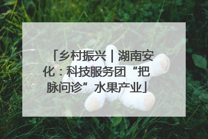 乡村振兴｜湖南安化：科技服务团“把脉问诊”水果产业