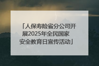 人保寿险省分公司开展2025年全民国家安全教育日宣传活动