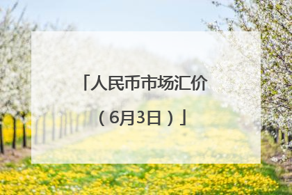 人民币市场汇价（6月3日）