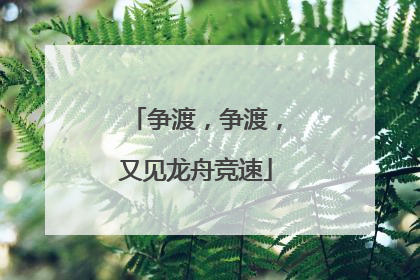 争渡，争渡，又见龙舟竞速