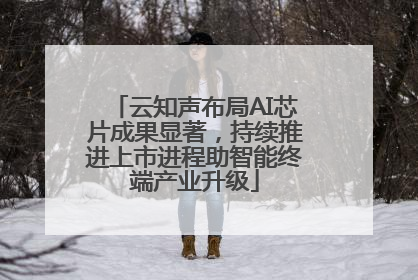 云知声布局AI芯片成果显著，持续推进上市进程助智能终端产业升级