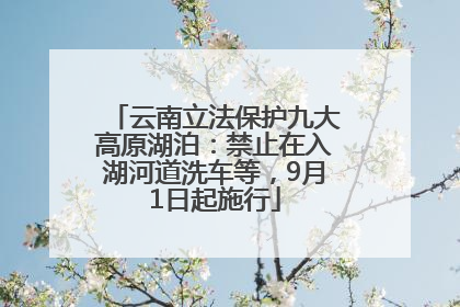 云南立法保护九大高原湖泊：禁止在入湖河道洗车等，9月1日起施行