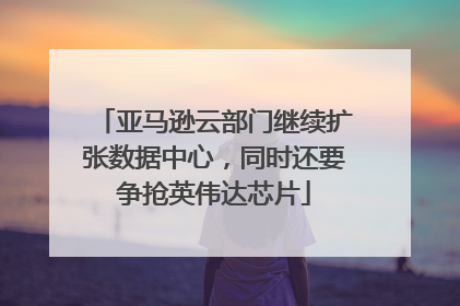 亚马逊云部门继续扩张数据中心，同时还要争抢英伟达芯片