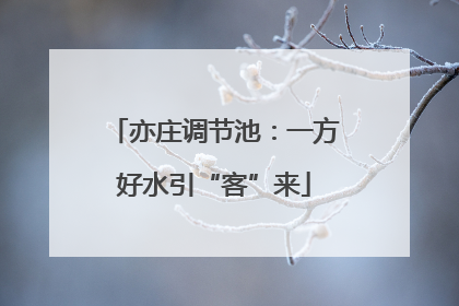 亦庄调节池：一方好水引“客”来