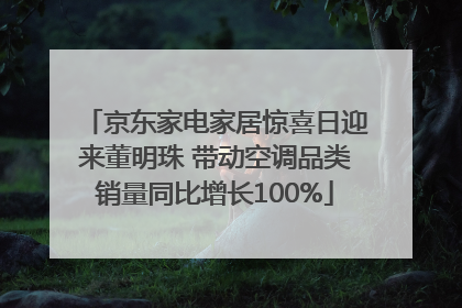 京东家电家居惊喜日迎来董明珠 带动空调品类销量同比增长100%