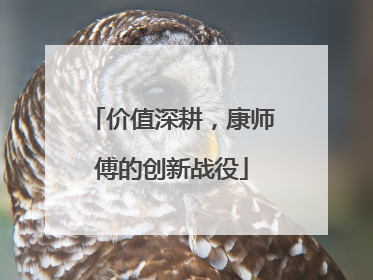 价值深耕，康师傅的创新战役