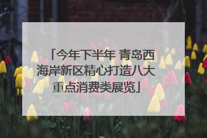 今年下半年 青岛西海岸新区精心打造八大重点消费类展览