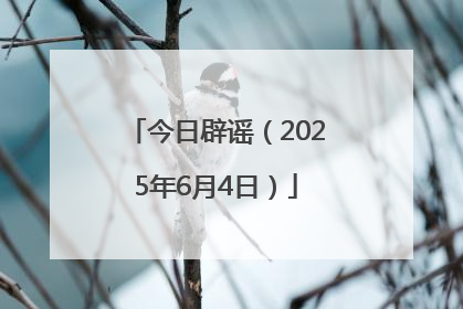 今日辟谣（2025年6月4日）