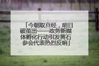 今朝取真经，明日破茧出——政务新媒体孵化行动引发黄石参会代表热烈反响
