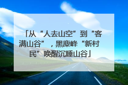 从“人去山空”到“客满山谷”，黑麋峰“新村民”唤醒沉睡山谷