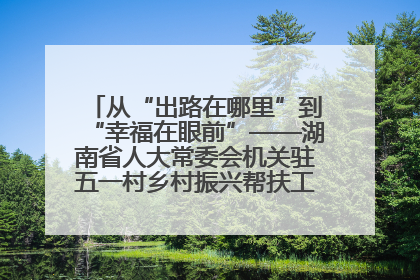 从“出路在哪里”到“幸福在眼前”——湖南省人大常委会机关驻五一村乡村振兴帮扶工作队书写振兴答卷