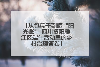 从包粽子到晒“阳光账” 四川资阳雁江区端午活动里的乡村治理答卷