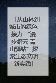 从山林到城市的绿色接力 “漫步缙云·青山驿站”探索生态文明新实践