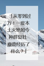 从零到过万！一度本土灭绝如今种群复壮 麋鹿经历了什么？