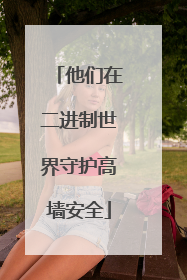 他们在二进制世界守护高墙安全