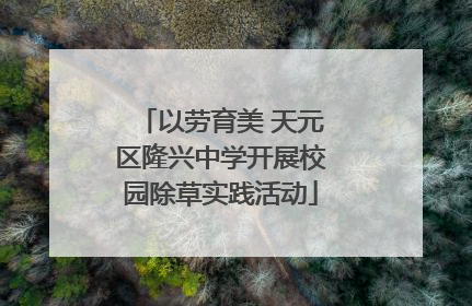 以劳育美 天元区隆兴中学开展校园除草实践活动