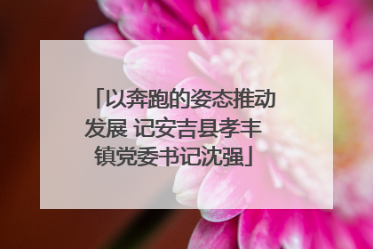 以奔跑的姿态推动发展 记安吉县孝丰镇党委书记沈强