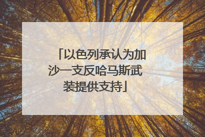 以色列承认为加沙一支反哈马斯武装提供支持