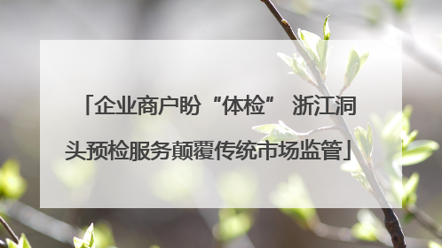 企业商户盼“体检” 浙江洞头预检服务颠覆传统市场监管