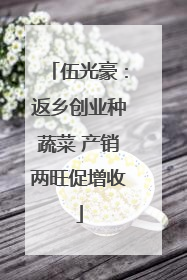 伍光豪：返乡创业种蔬菜 产销两旺促增收