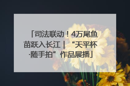 司法联动！4万尾鱼苗跃入长江｜“天平杯·随手拍”作品展播