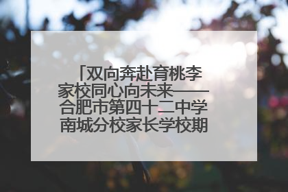 双向奔赴育桃李 家校同心向未来——合肥市第四十二中学南城分校家长学校期末总结会圆满召开
