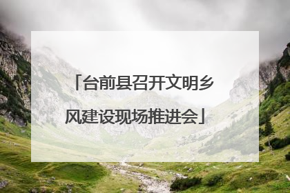 台前县召开文明乡风建设现场推进会